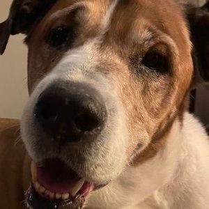 Meet your Posher, Scott